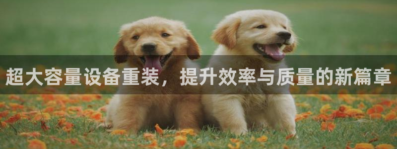 辉达娱乐计划软件：超大容量设备重装，提升效率与质量的新篇章