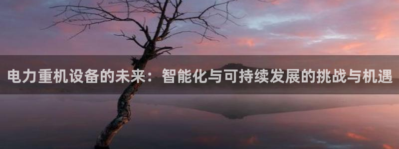 辉达娱乐丶75505：电力重机设备的未来：智能化与可持续发展