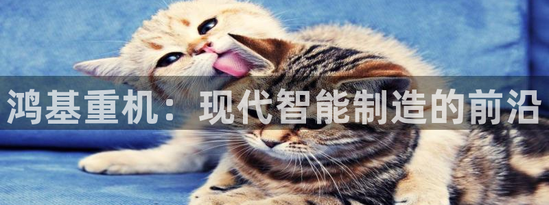 代理辉达娱乐开户注册：鸿基重机：现代智能制造的前沿