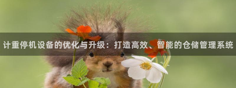 辉达平台注册官方网站入口