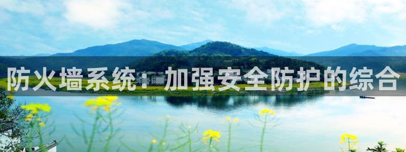 辉达娱乐游戏.直开.中国：防火墙系统：加强安全防护的综合