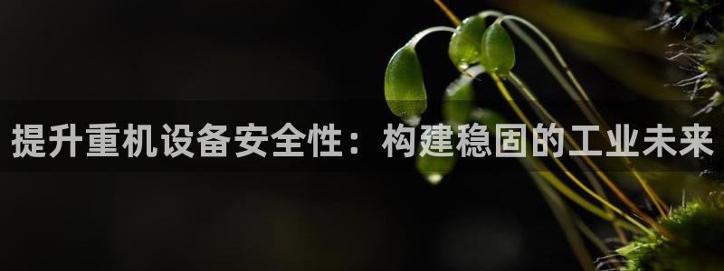 辉达娱乐 75505：提升重机设备安全性：构建稳固的工业未来
