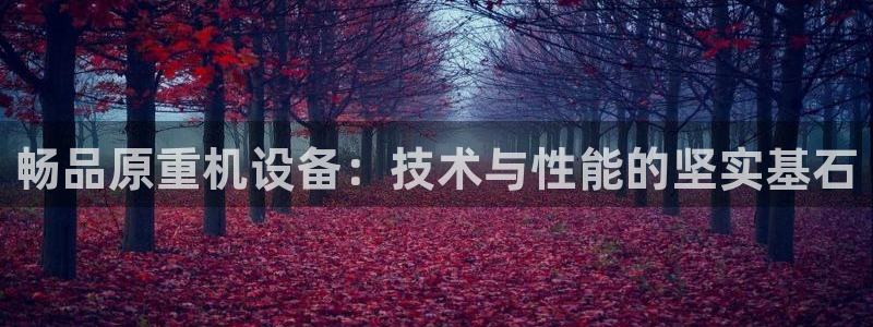 辉达娱乐彳75775：畅品原重机设备：技术与性能的坚实基石