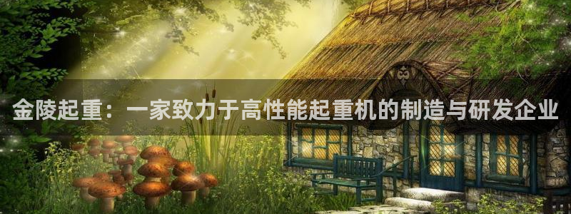 辉达娱乐丿75505：金陵起重：一家致力于高性能起重机的制造