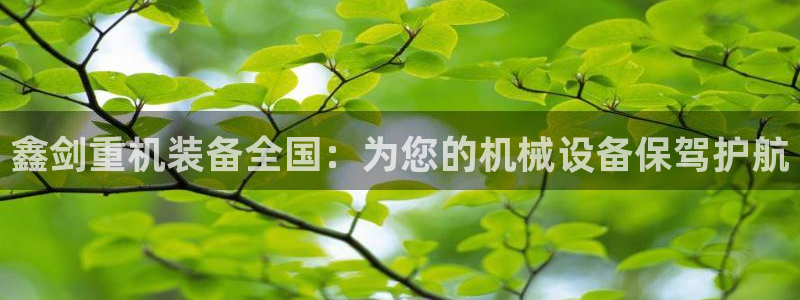 辉达娱乐丿39444：鑫剑重机装备全国：为您的机械设备保驾护