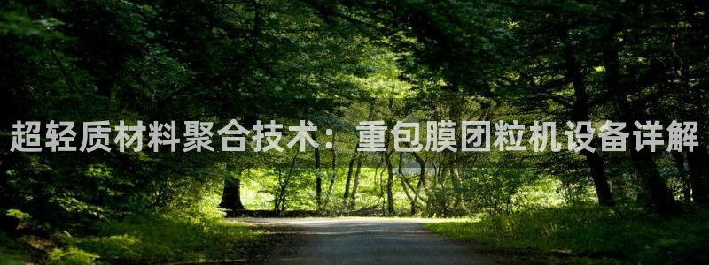 辉达娱乐加q75775稳定：超轻质材料聚合技术：重包膜团粒机