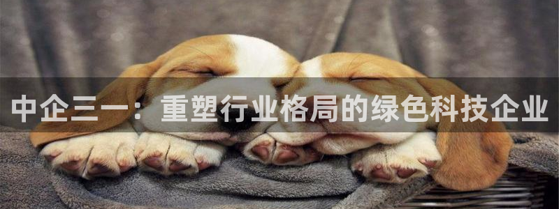辉达平台注册入口：中企三一：重塑行业格局的绿色科技企业