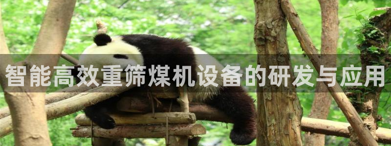 辉达娱乐最新消息新闻：智能高效重筛煤机设备的研发与应用