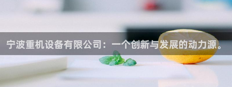 辉达娱乐公司：宁波重机设备有限公司：一个创新与发展的动力源。