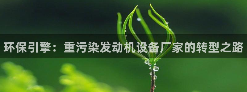 辉达娱乐加扣75775：环保引擎：重污染发动机设备厂家的转型