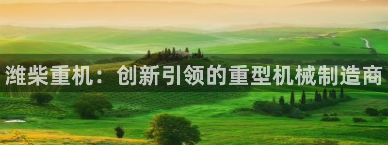 辉达娱乐：潍柴重机：创新引领的重型机械制造商