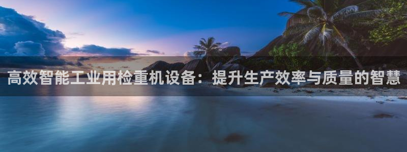 辉达娱乐加q75775：高效智能工业用检重机设备：提升生产效