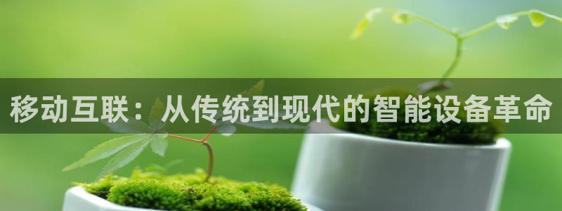 辉达平台注册官方网站入口：移动互联：从传统到现代的智能设备革