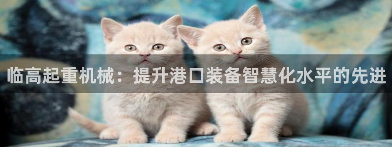 信誉辉达娱乐在线游戏：临高起重机械：提升港口装备智慧化水平的