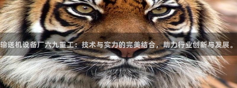 辉达娱乐官网