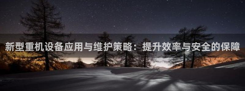 辉达集团官方网站