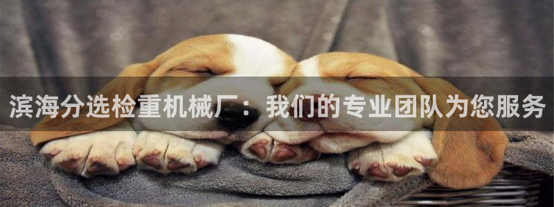 辉达娱乐己39444：滨海分选检重机械厂：我们的专业团队为您