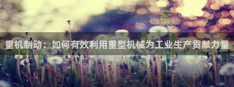 辉达集团官方网站：重机制动：如何有效利用重型机械为工业生产贡