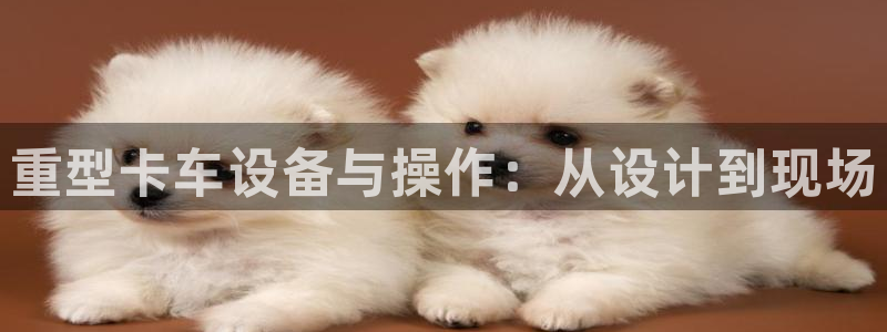 辉达娱乐123123