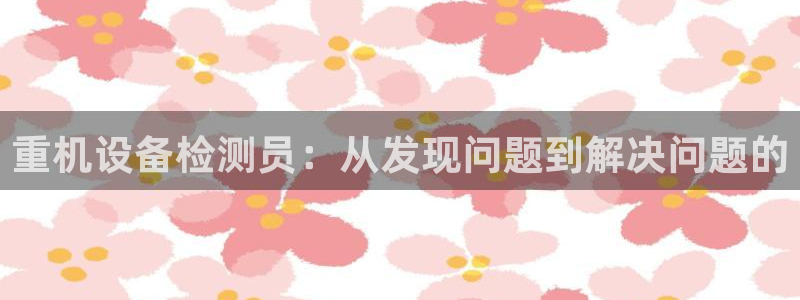 辉达娱乐检测：重机设备检测员：从发现问题到解决问题的