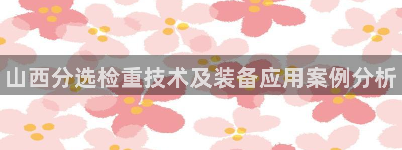 代理辉达娱乐：山西分选检重技术及装备应用案例分析