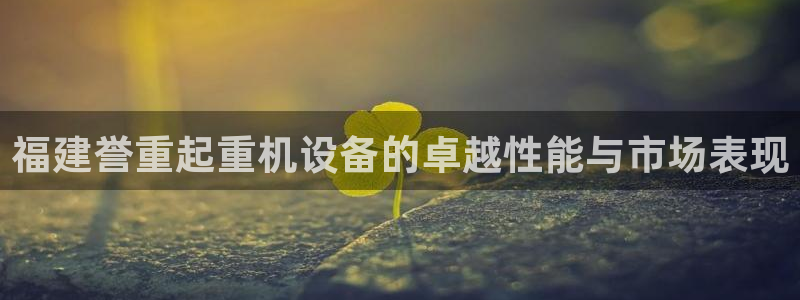 辉达娱乐：福建誉重起重机设备的卓越性能与市场表现