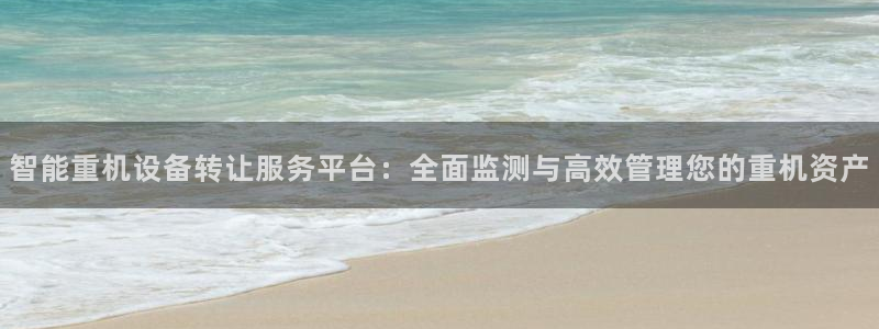 代理辉达娱乐官方网址：智能重机设备转让服务平台：全面监测与高