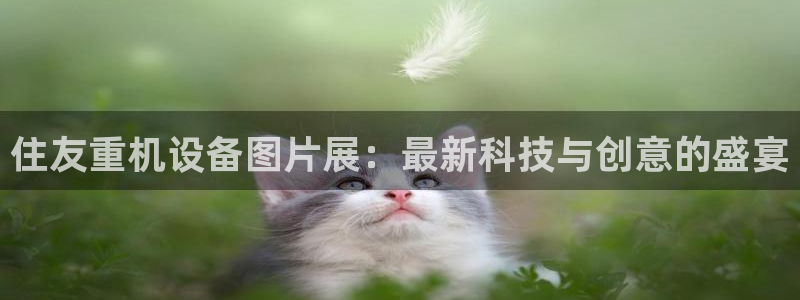 辉达平台注册：住友重机设备图片展：最新科技与创意的盛宴