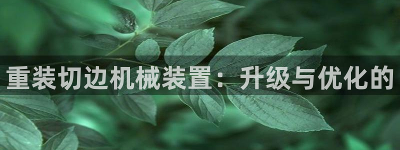 辉达娱乐广东11选5：重装切边机械装置：升级与优化的