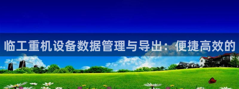 辉达娱乐体育竞猜：临工重机设备数据管理与导出：便捷高效的