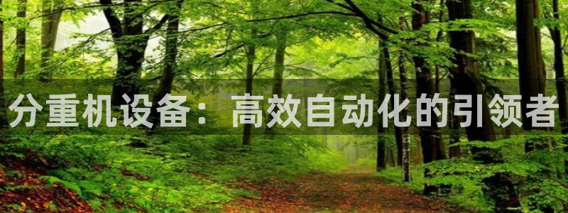 信誉辉达娱乐在线游戏：分重机设备：高效自动化的引领者
