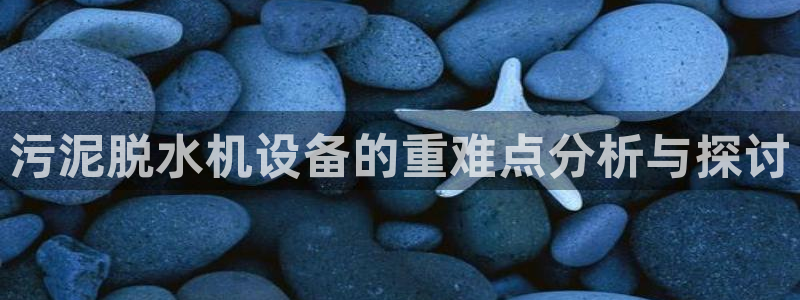 辉达娱乐待遇：污泥脱水机设备的重难点分析与探讨