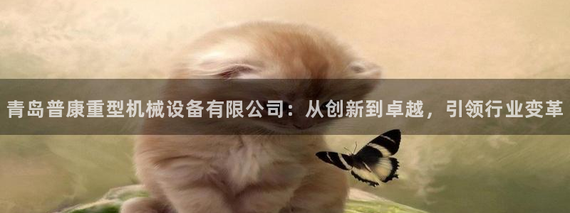 专业辉达娱乐平台：青岛普康重型机械设备有限公司：从创新到卓越
