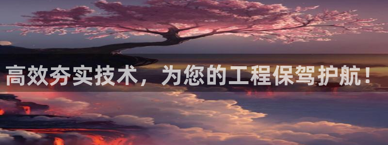 辉达平台注册官方网站入口：高效夯实技术，为您的工程保驾护航！