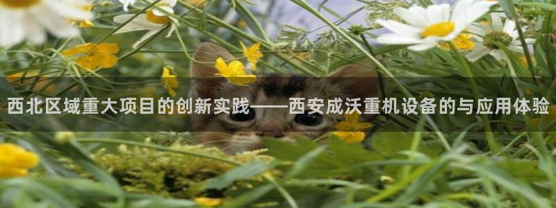 辉达娱乐丶75505：西北区域重大项目的创新实践——西安成沃