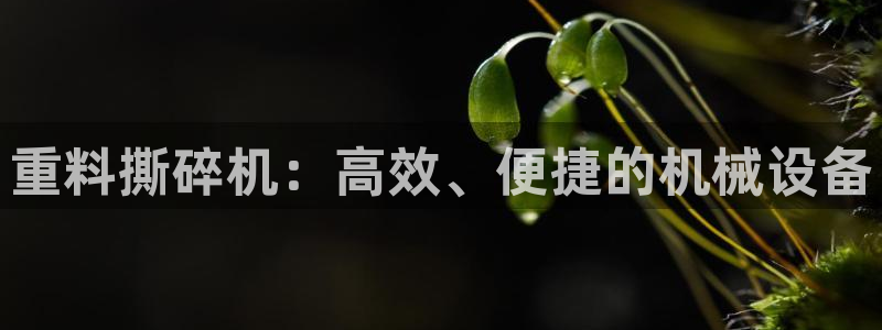 信誉辉达娱乐官方网址：重料撕碎机：高效、便捷的机械设备