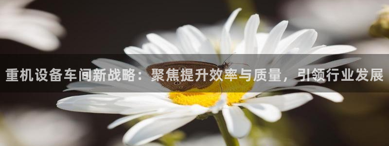 信誉辉达娱乐开户注册：重机设备车间新战略：聚焦提升效率与质量