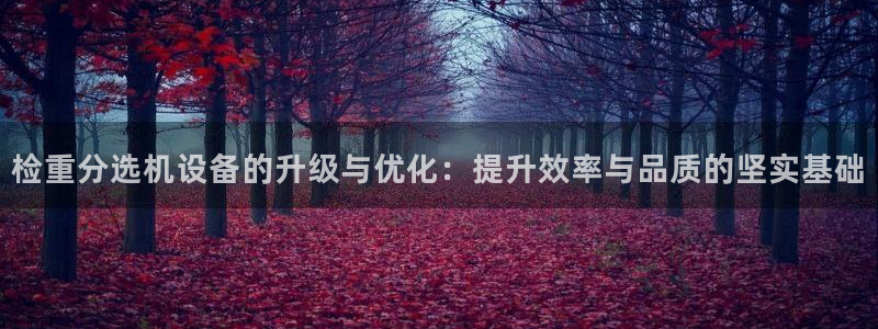 辉达平台娱乐怎么样：检重分选机设备的升级与优化：提升效率与品