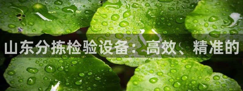 辉达娱乐最新消息新闻