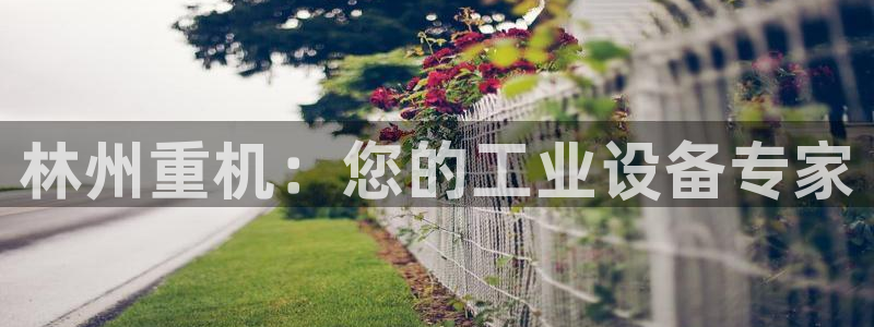 辉达娱乐时时彩平台