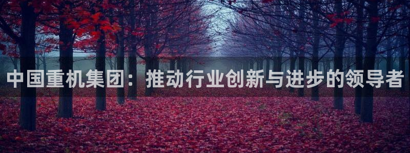 辉达平台官网电话：中国重机集团：推动行业创新与进步的领导者