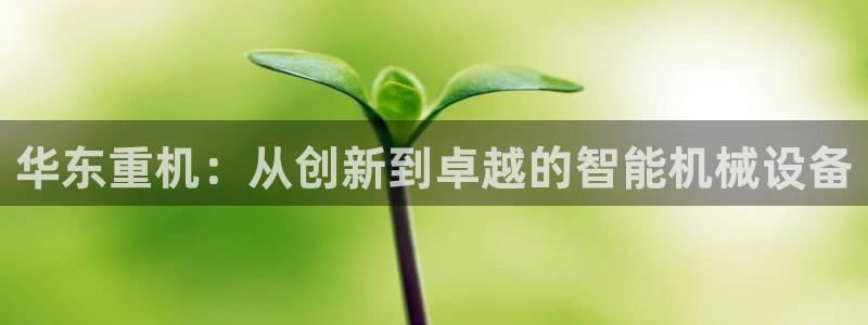 恒达娱乐辉70667