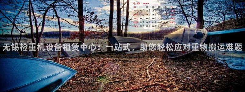 辉达娱乐app