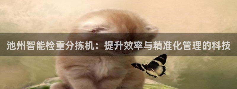 辉达娱乐总部