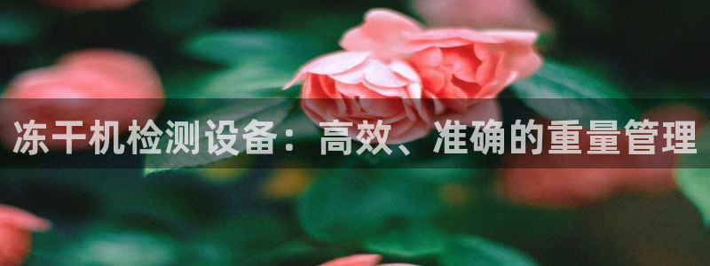 辉达娱乐平台：冻干机检测设备：高效、准确的重量管理