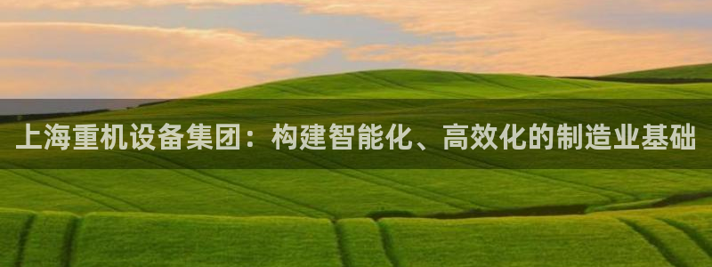辉达平台注册流程：上海重机设备集团：构建智能化、高效化的制造