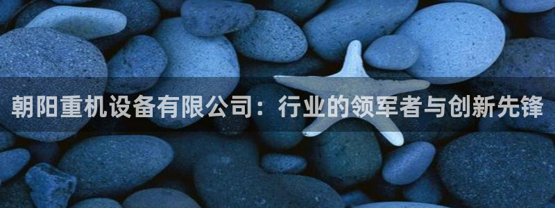 辉达娱乐