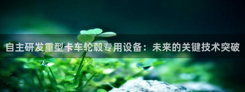 辉达娱乐最新版本更新内容：自主研发重型卡车轮毂专用设备：未来