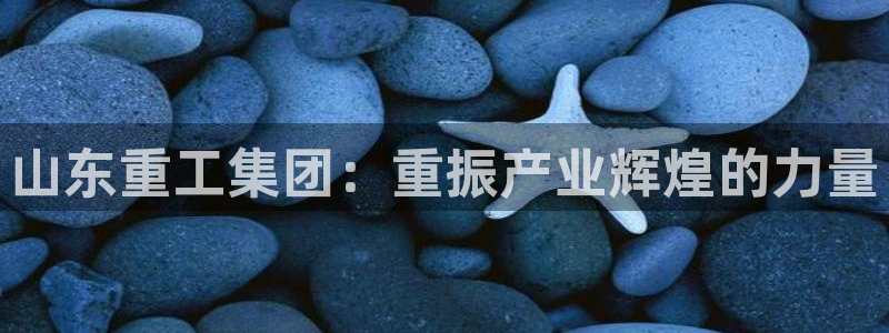 辉达娱乐总部：山东重工集团：重振产业辉煌的力量