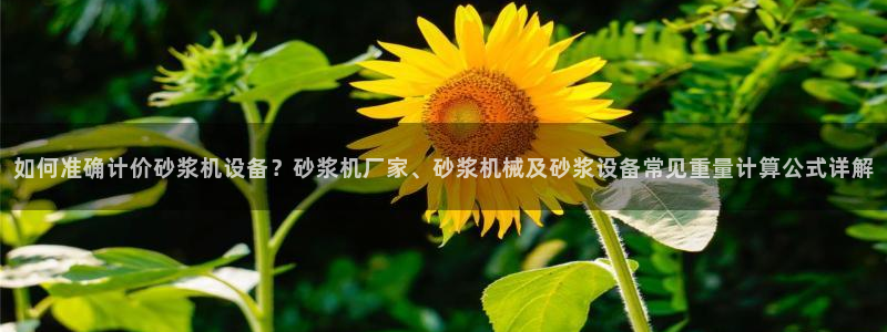 辉达娱乐己75505：如何准确计价砂浆机设备？砂浆机厂家、砂